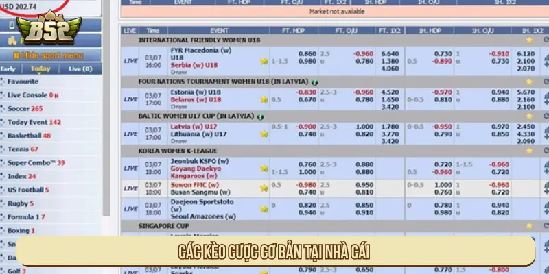 Các kèo cược cơ bản tại nhà cái