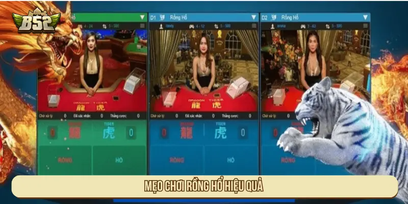 Mẹo chơi Rồng hổ hiệu quả